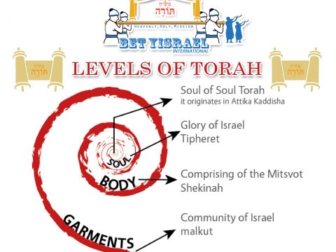 Levels of Torah3