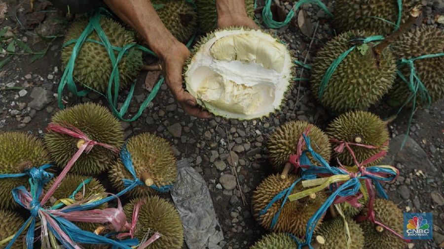 The Health Benefits of Durian and Six Foods to Avoid When Eating It