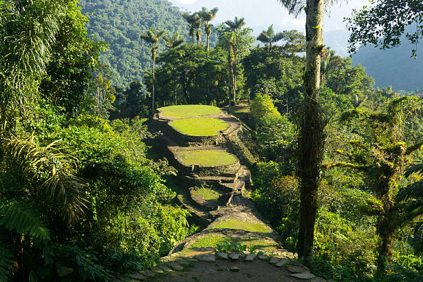 Kota Ciudad Perdida: Keajaiban Tersembunyi di Hutan Kolombia